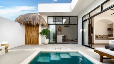 Palm 22